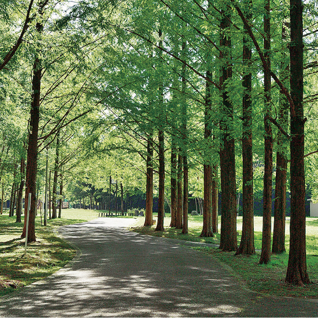 自然が豊かなんです